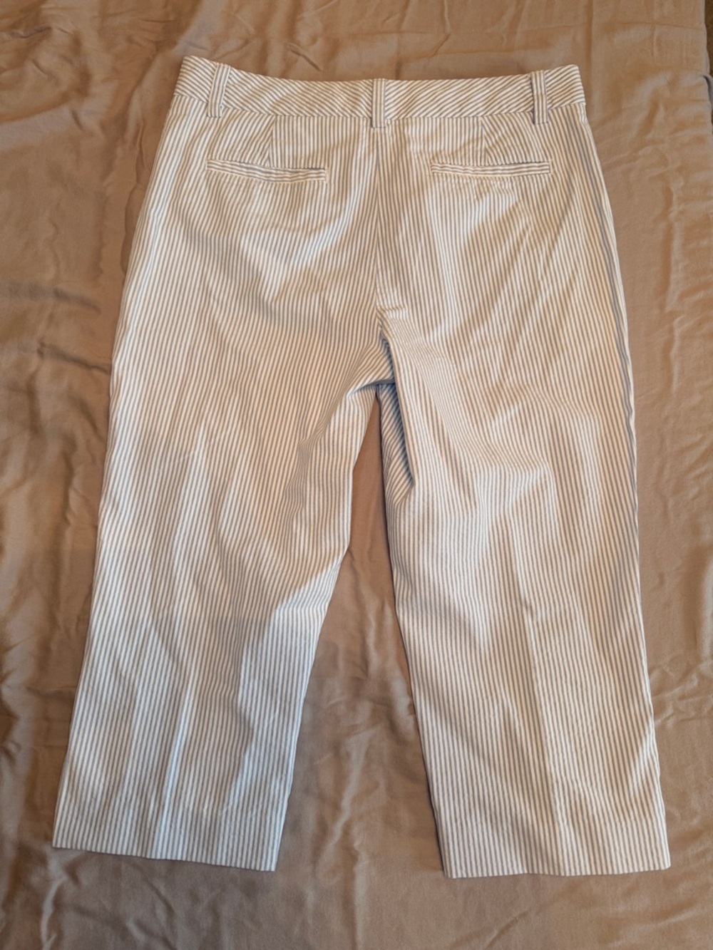 White and Blue Pinstriped Casual Cropped Pants - Picture 2 of 3